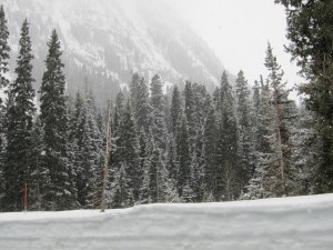 A late winter wonderland near Washington Pass in the Northern Cascades