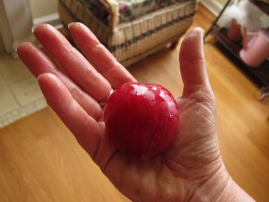 First plum, freshly washed and ready to eat! Several more will be ready in the next few days.