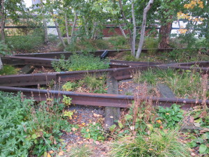 The tracks remain as plants grow among them.